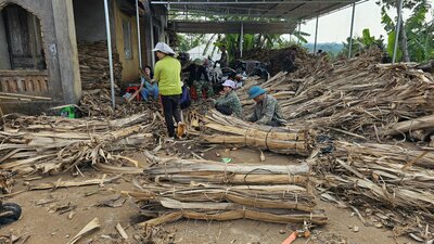 Bẹ chuối khô - Công Ty TNHH Green View Tây Nguyên